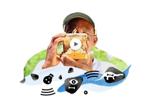 Image The Warm Heart of Malawi - thewarmheartofmalawi - CMCK Cultur­al and Mu­se­um Centre Karonga research videos